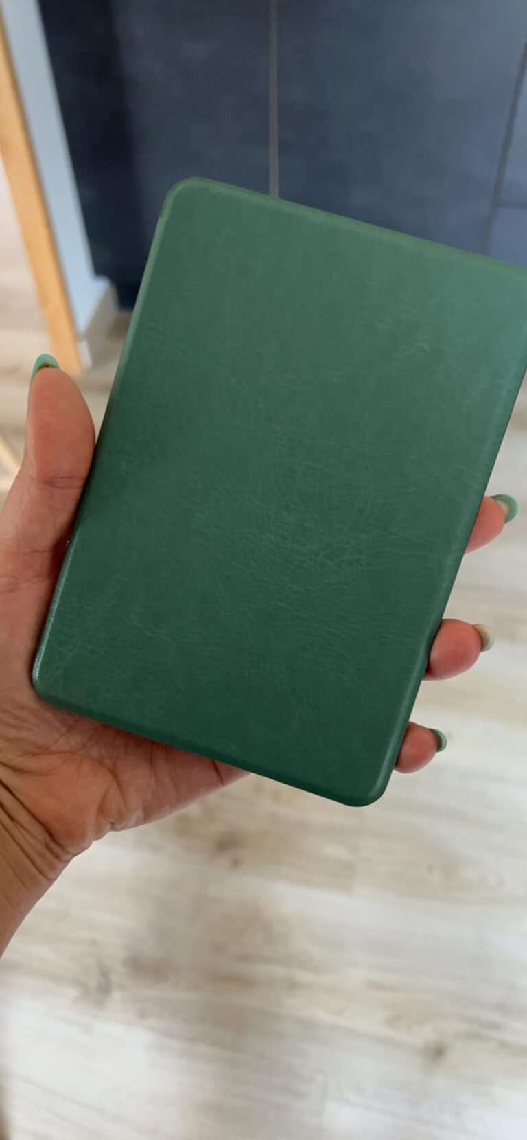 Une main tient la liseuse dans son étui vert foncé. Le visuel 4 est une liseuse dans son étui, mais dont l'aspect est très di...