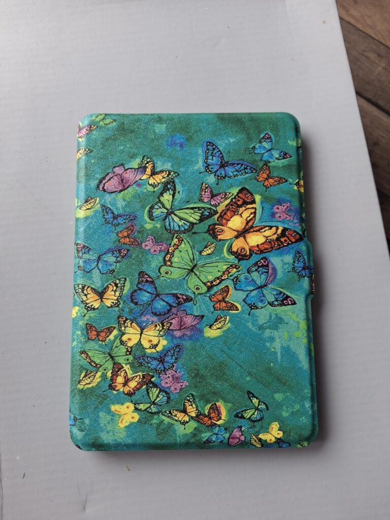 Vue en plongée de la couverture de l'étui, motif papillons sur fond vert d'eau, sur un fond gris.