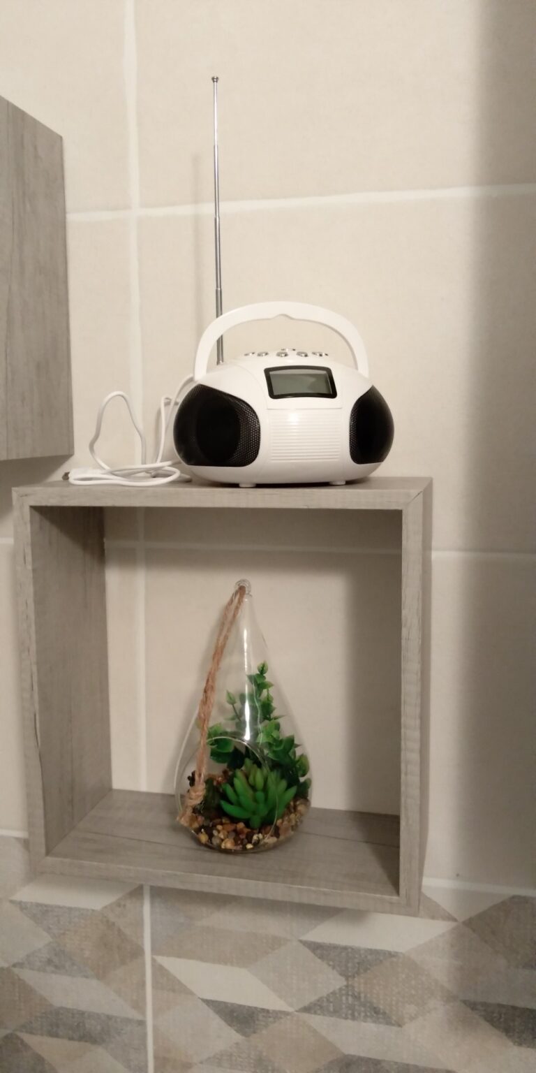 Produit radio sur une étagère dans une pièce, avec une plante décorative en dessous.