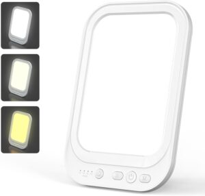 Lampe de luminothérapie, 10 000 lux, simulation de la lumière du jour, 5 Luminosité Réglab