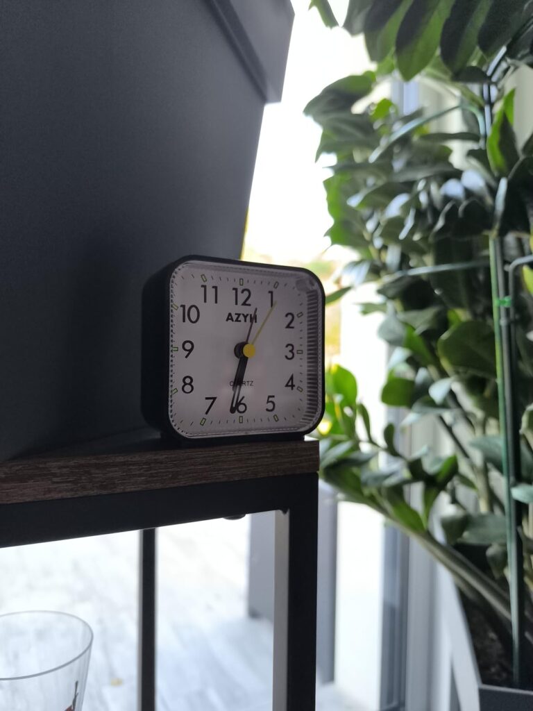 Un réveil noir de forme carrée posé sur une étagère en bois, devant une plante verte. Le réveil affiche 10h10.