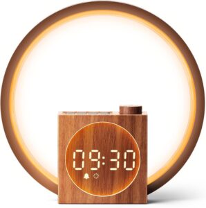 Dreamegg Lampe de Chevet avec Réveil Simulateur d'Aube, 25 Sons Apaisants