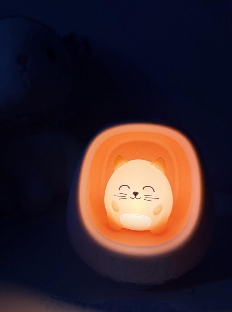 L'appareil est allumé dans le noir. Il éclaire avec une lumière orange. L'écran de l'heure est éteint.