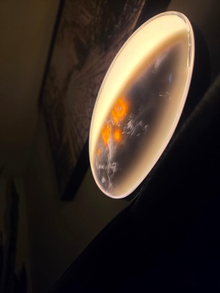 Réveil Lumineux Simulateur d'Aube photographié par Amber Moen, acheteur